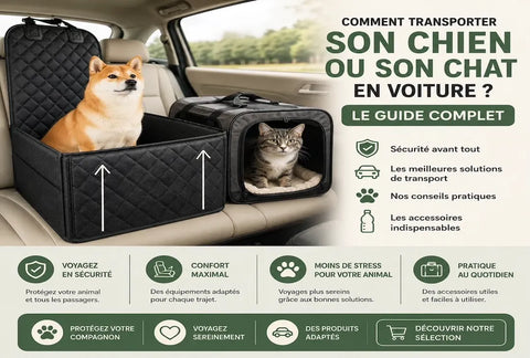 Comment transporter son chien ou son chat en voiture ? Le guide complet pour voyager en toute sécurité