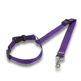 Ceinture de sécurité réglable pour chien