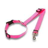 Ceinture de sécurité réglable pour chien