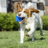 Balle Rebondissante pour Chien