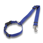 Ceinture de sécurité réglable pour chien