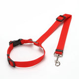 Ceinture de sécurité réglable pour chien