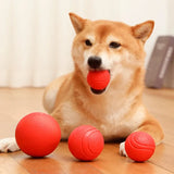 Balle pour chien disponible en tailles S M L avec démonstration des dimensions