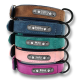 Collection de colliers personnalisés pour chien disponibles en plusieurs couleurs