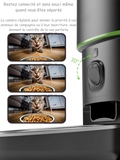 Vue grand angle 130° de la caméra intégrée au distributeur automatique de croquettes pour chat, offrant une surveillance complète de votre animal, de sa gamelle et de son environnement à distance.