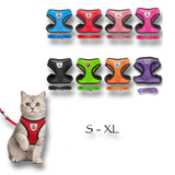 Harnais réglable respirant pour chien et chat disponible en plusieurs couleurs avec laisse assortie et bandes réfléchissantes