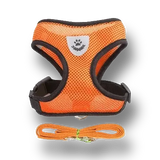 Harnais respirant orange pour chien et chat avec laisse assortie et fermeture réglable