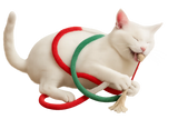 Jouet en corde pour chat utilisé pour mordiller, nettoyer les dents et réduire l'ennui chez les chats d'intérieur