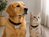 Médaille personnalisée pour chien et chat portée sur un collier noir avec gravure du prénom et coordonnées