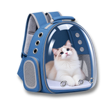 Sac à dos de transport bleu pour chat avec hublot transparent et aérations, contenant un chat Ragdoll blanc et beige.