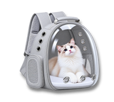 Sac à dos de transport gris pour chat avec hublot transparent, abritant un chat Ragdoll.